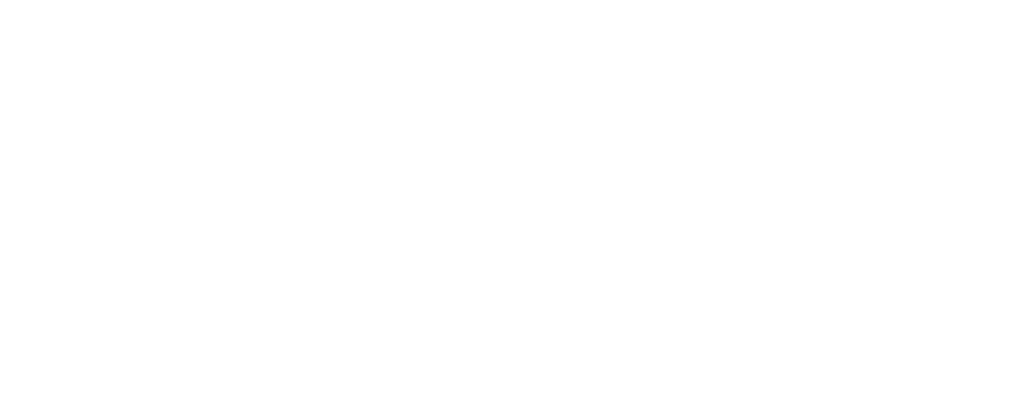 Vicachu